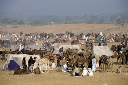 Inde, Pushkar