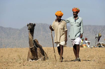 Inde, Pushkar