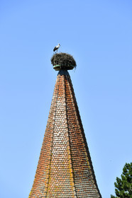 France,  Ribeauville