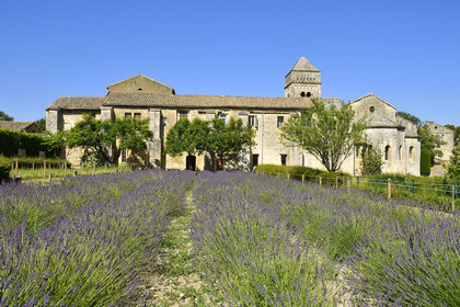 France, Saint Remy de Provence