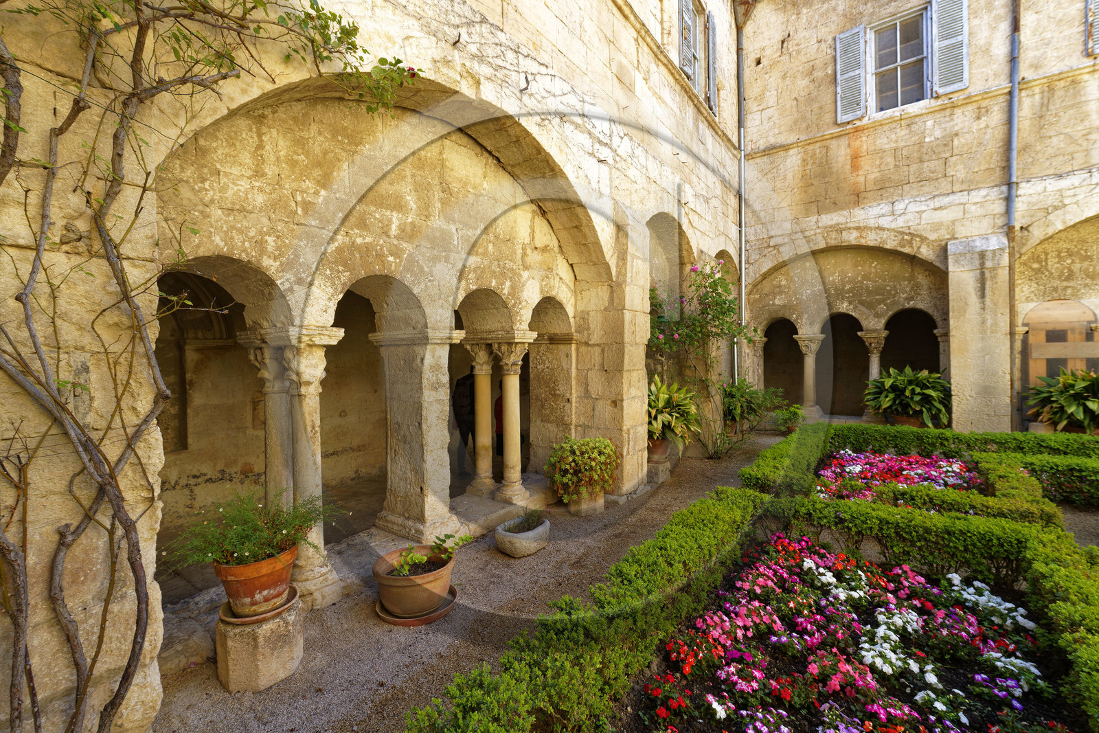 France, Saint Remy de Provence
