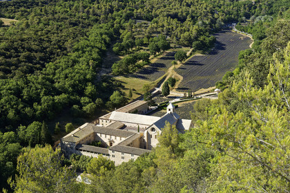 France, Senanque