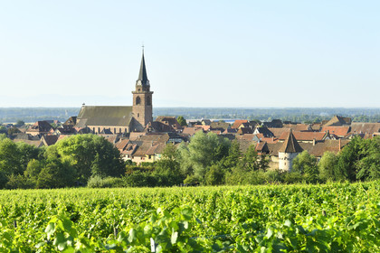 France, Bergheim