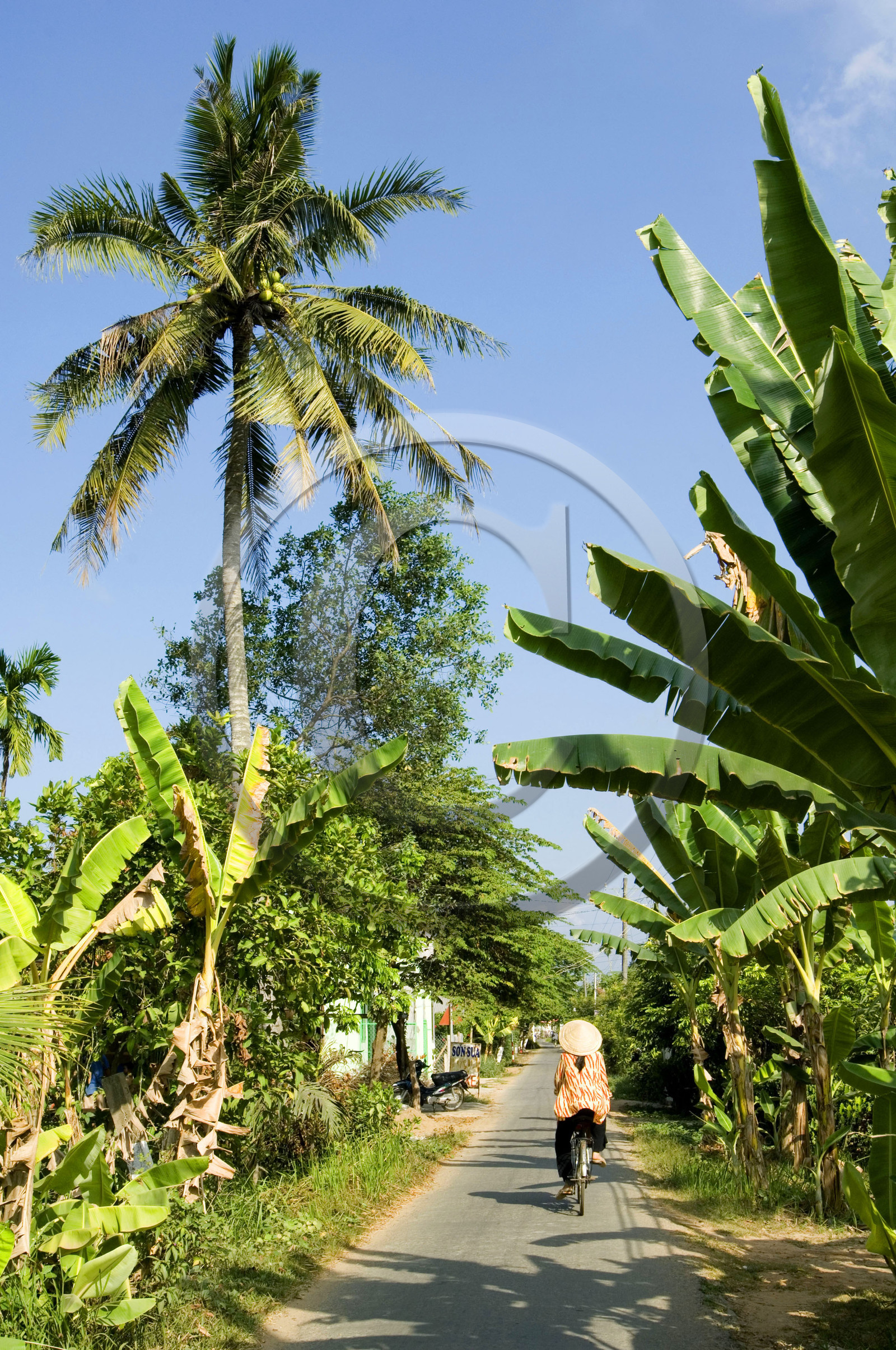 DELTA DU MEKONG, VIETNAM