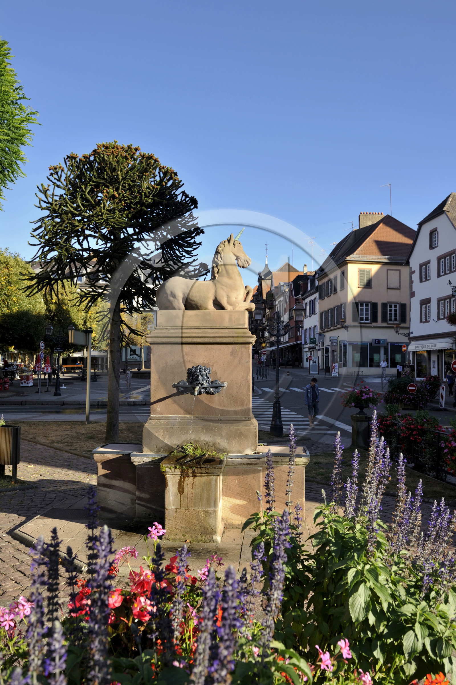 France, Saverne