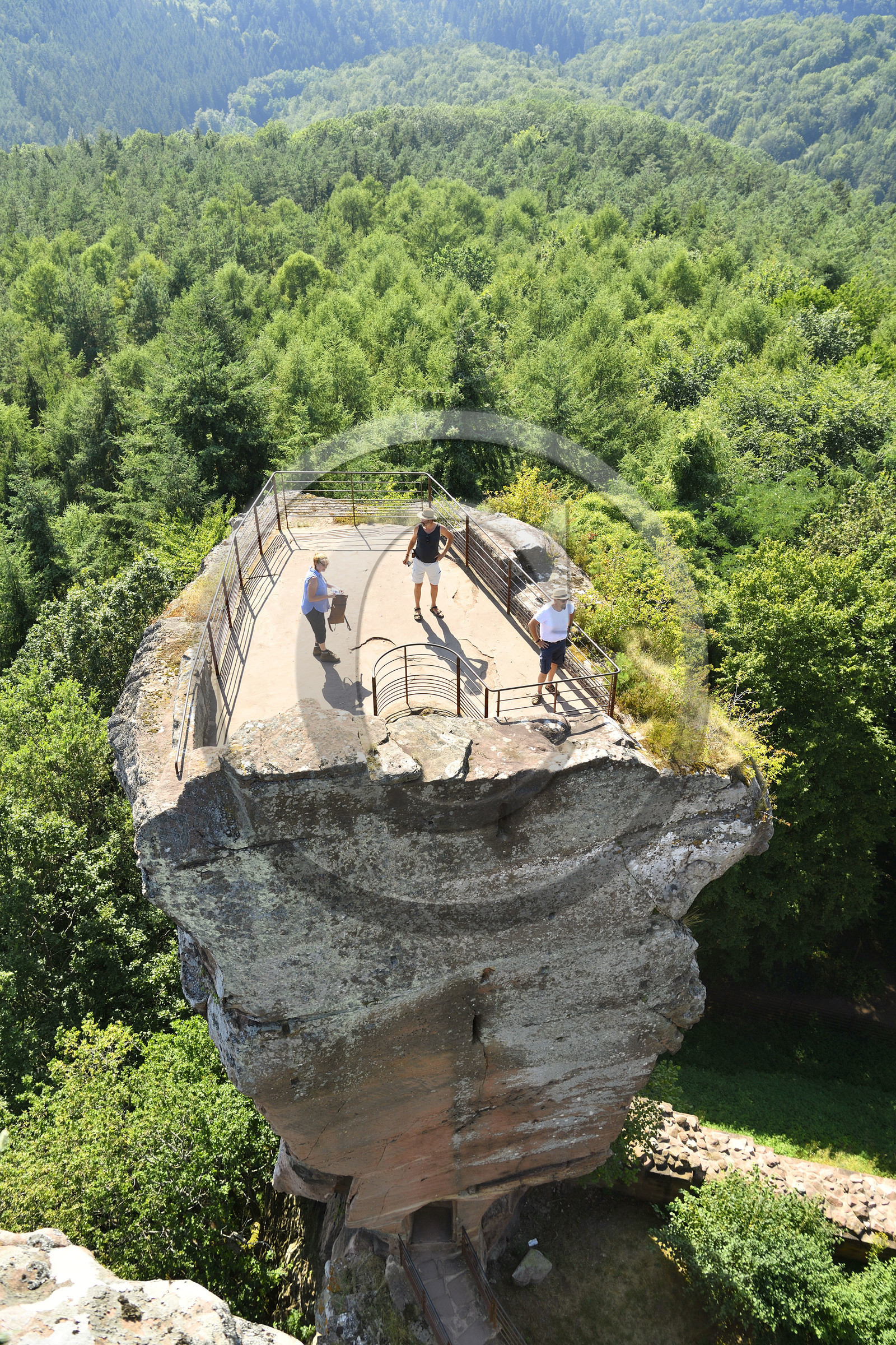 France, Fleckenstein