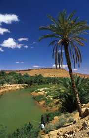 MAROC   VALLÉE DU ZIZ
