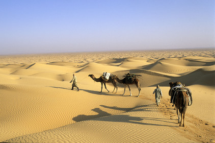 Erg Oriental, Tunisie