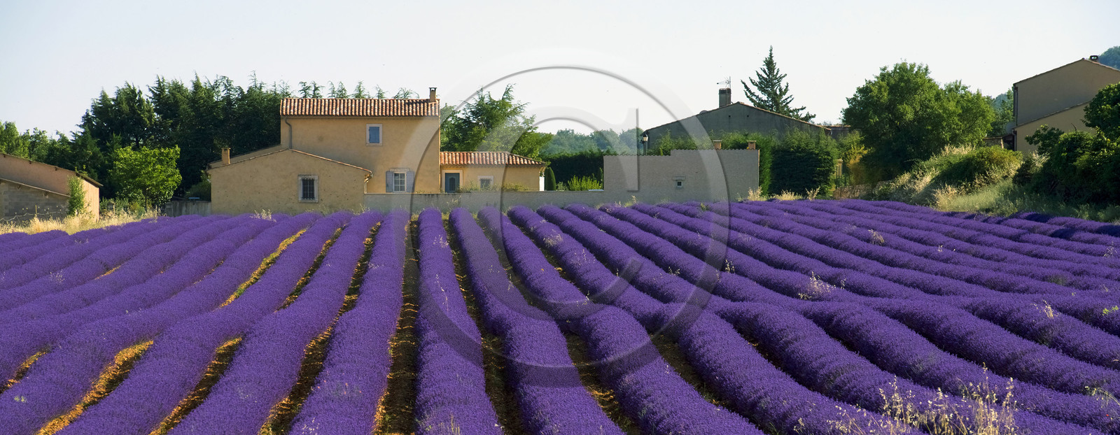 France, Simiane la Rotonde