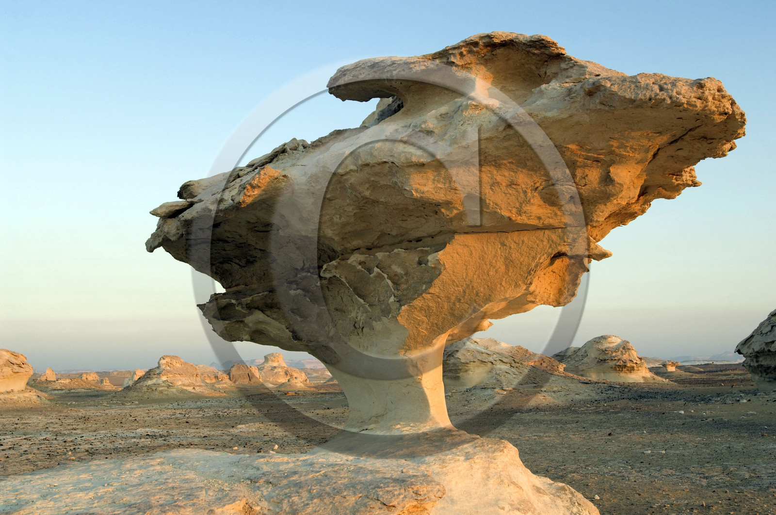 Egypte, désert blanc