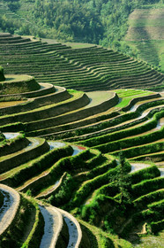 Chine, Longsheng