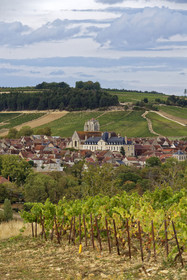 France, Auxerre