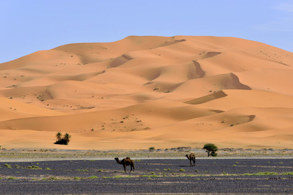 Maroc, Merzouga