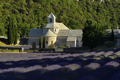 France, Senanque