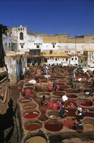 MAROC   FES.SOUK DES TANNEURS