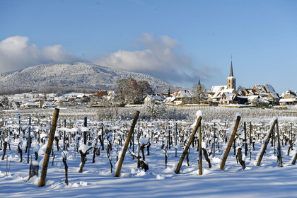 France, Mittelbergheim