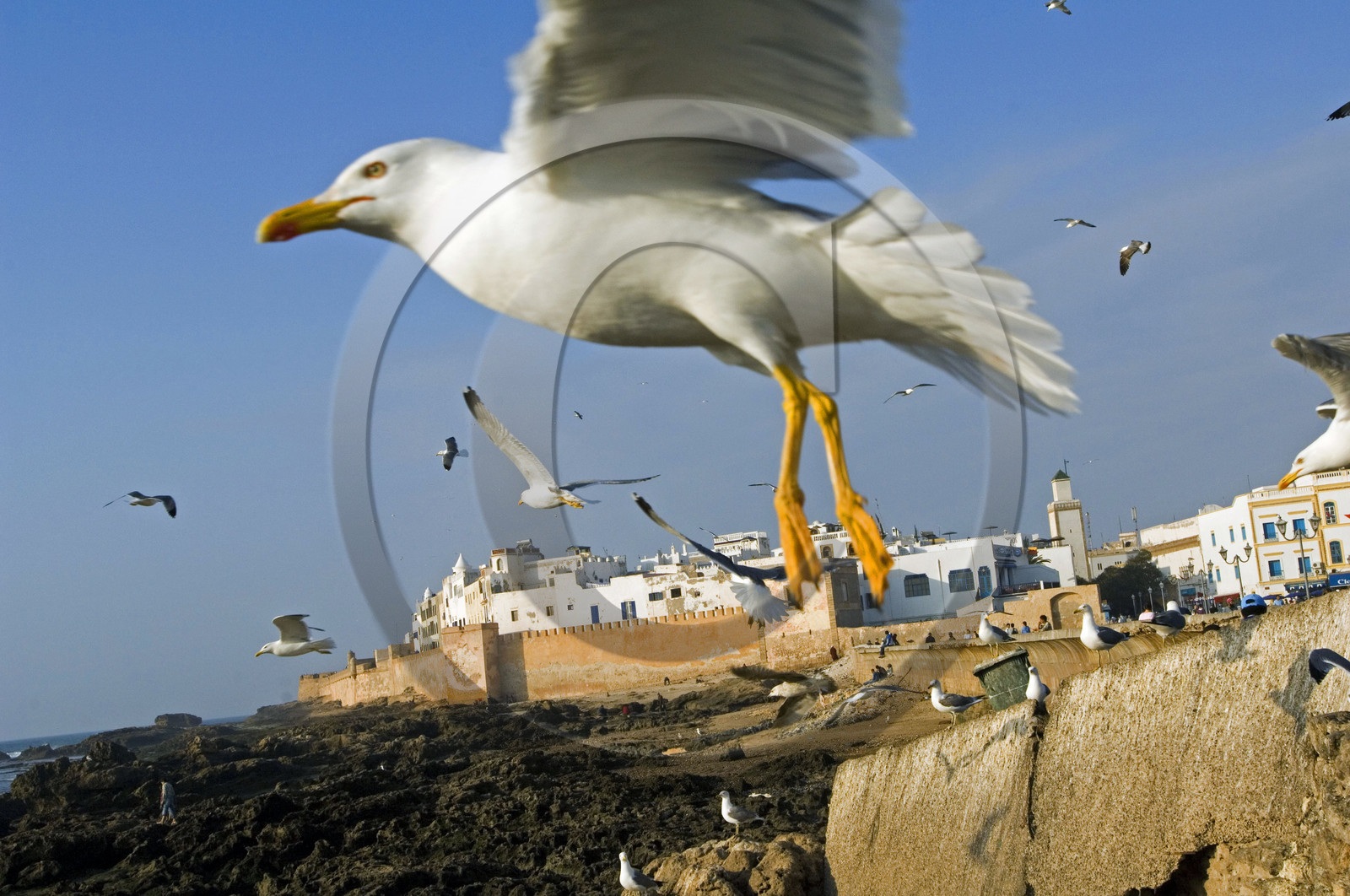 Essaouira, Maroc
