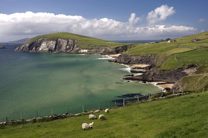 Irlande, Dingle