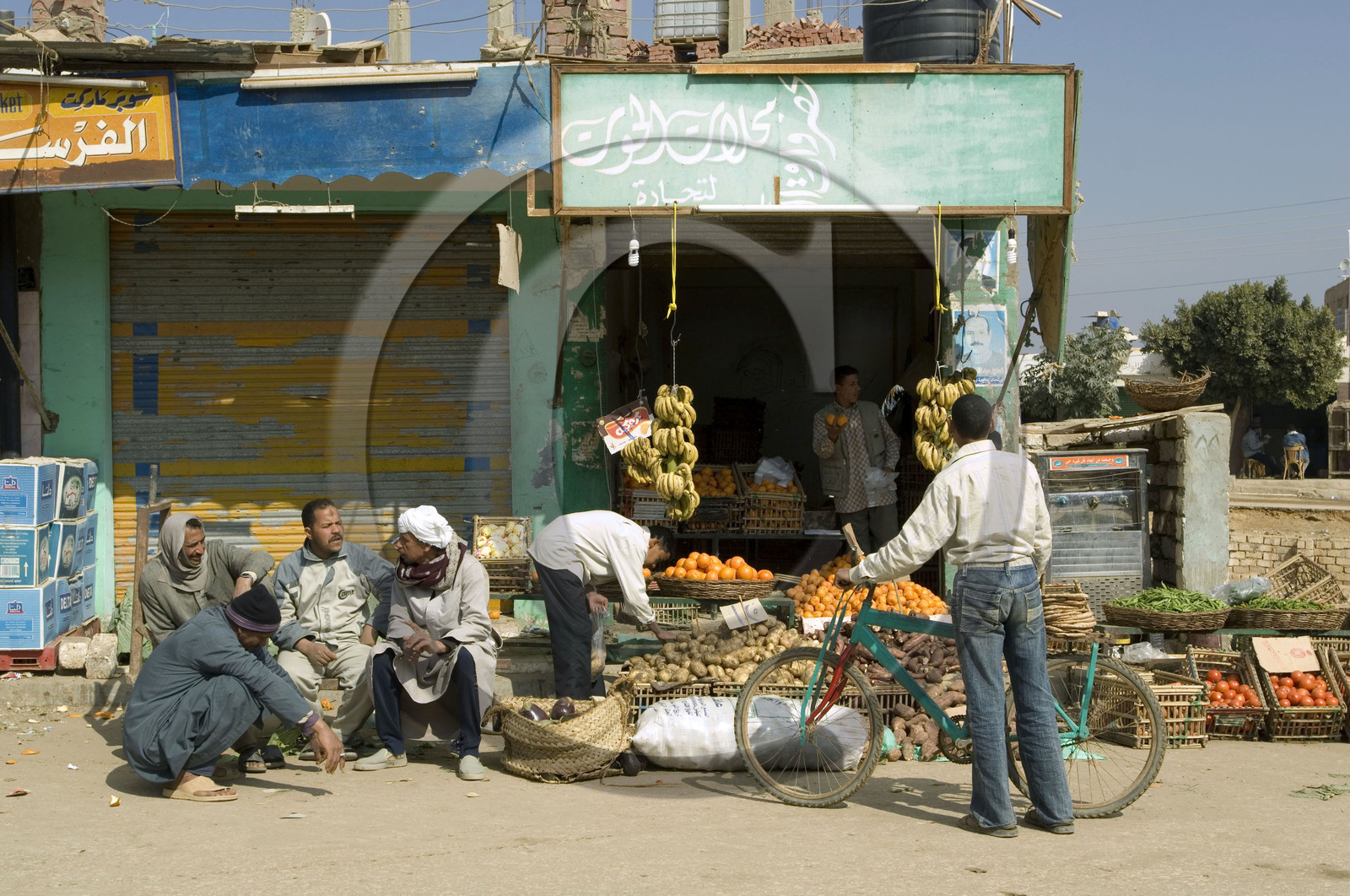 Egypte, désert libyque