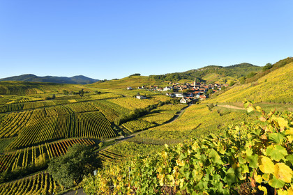 France, Niedermorschwihr