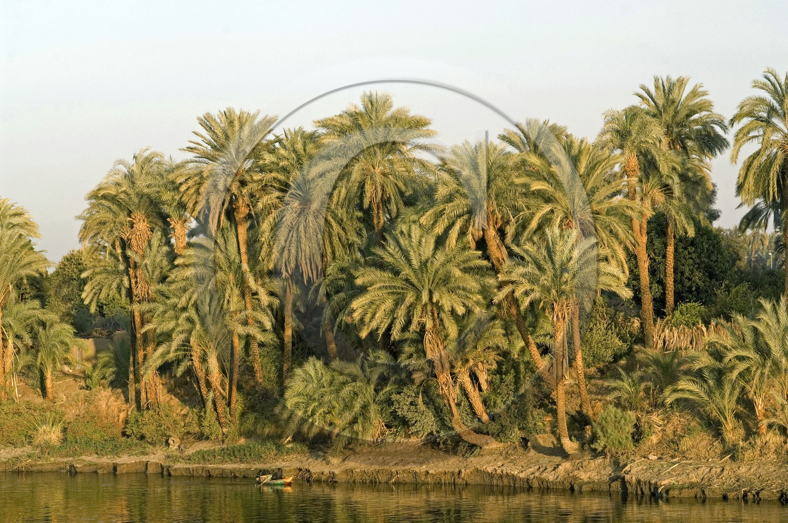 Egypte, Vallée du Nil