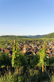 France, Riquewihr
