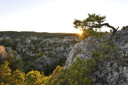 France, Montpellier Vieux