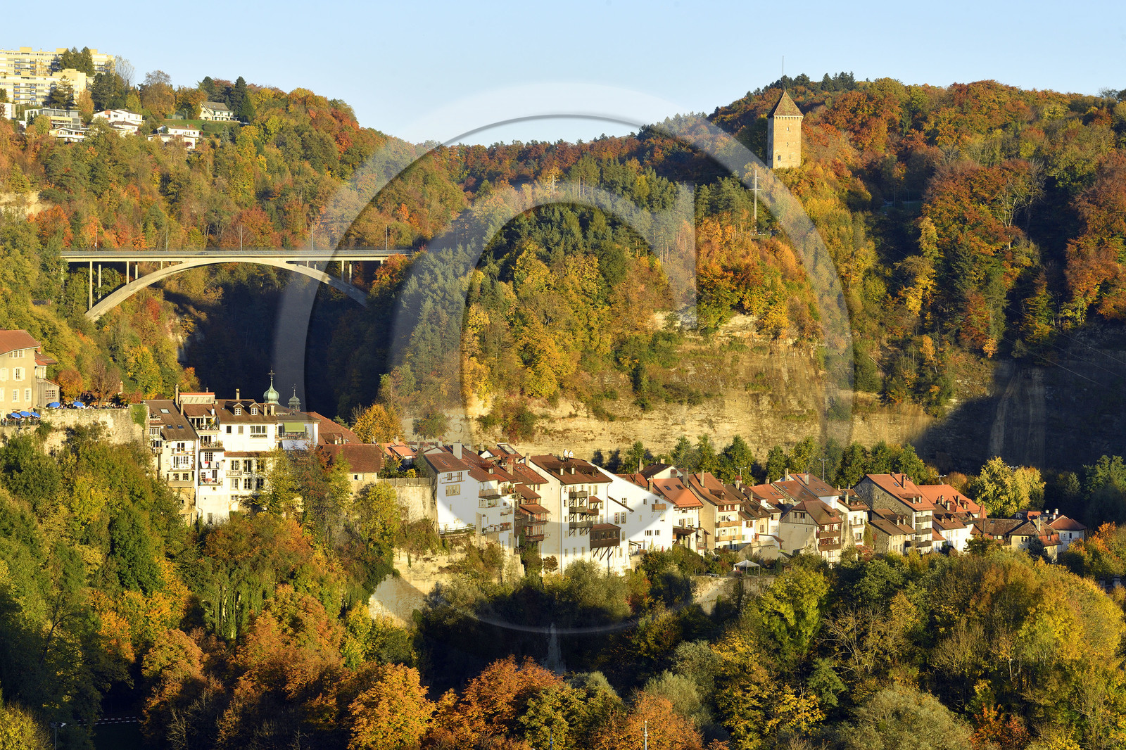 Suisse, Fribourg