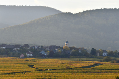 France, Route des vins