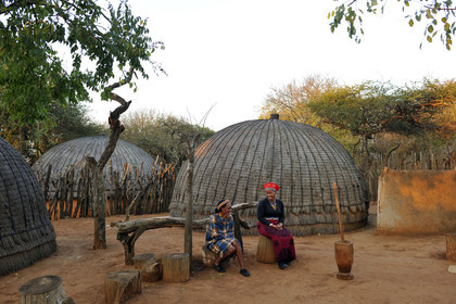 AFS, Shakaland