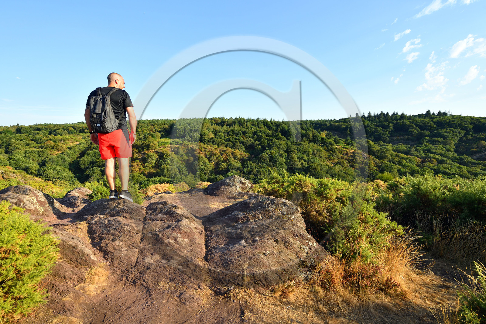 France, Brocéliande