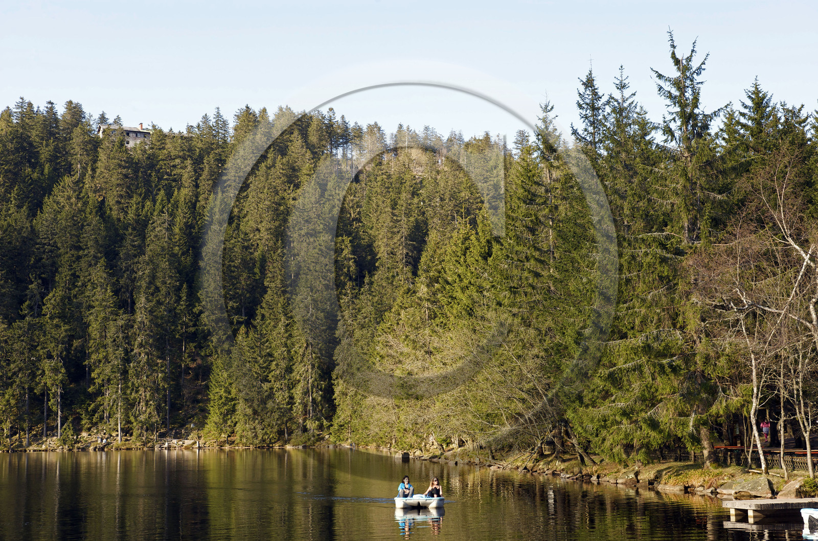 Allemagne, Forêt Noire