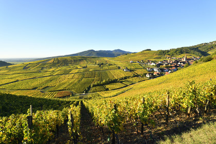 France, Niedermorschwihr