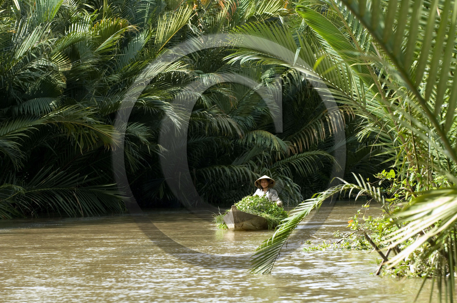 DELTA DU MEKONG, VIETNAM
