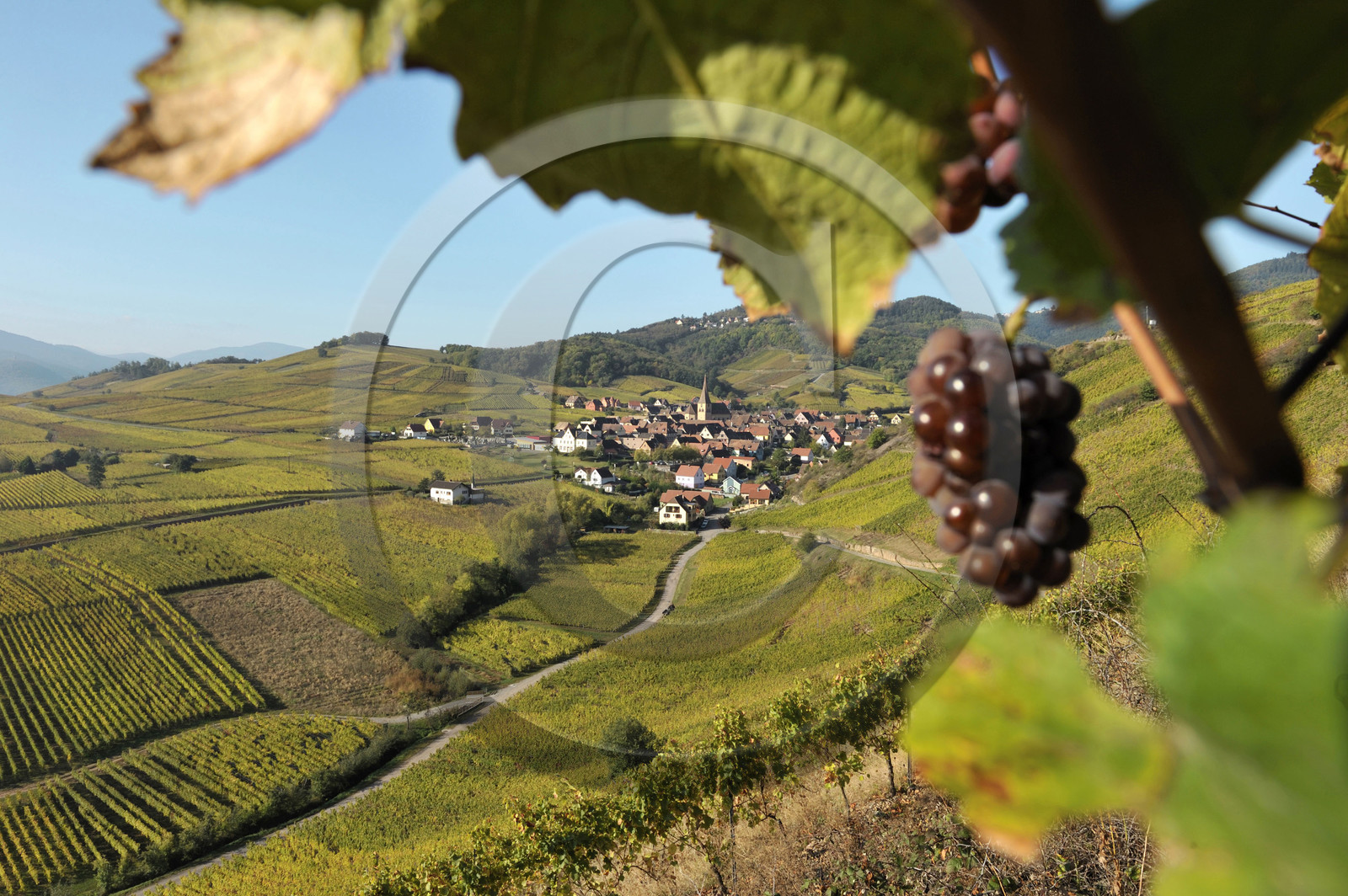 France, Niedermorschwihr