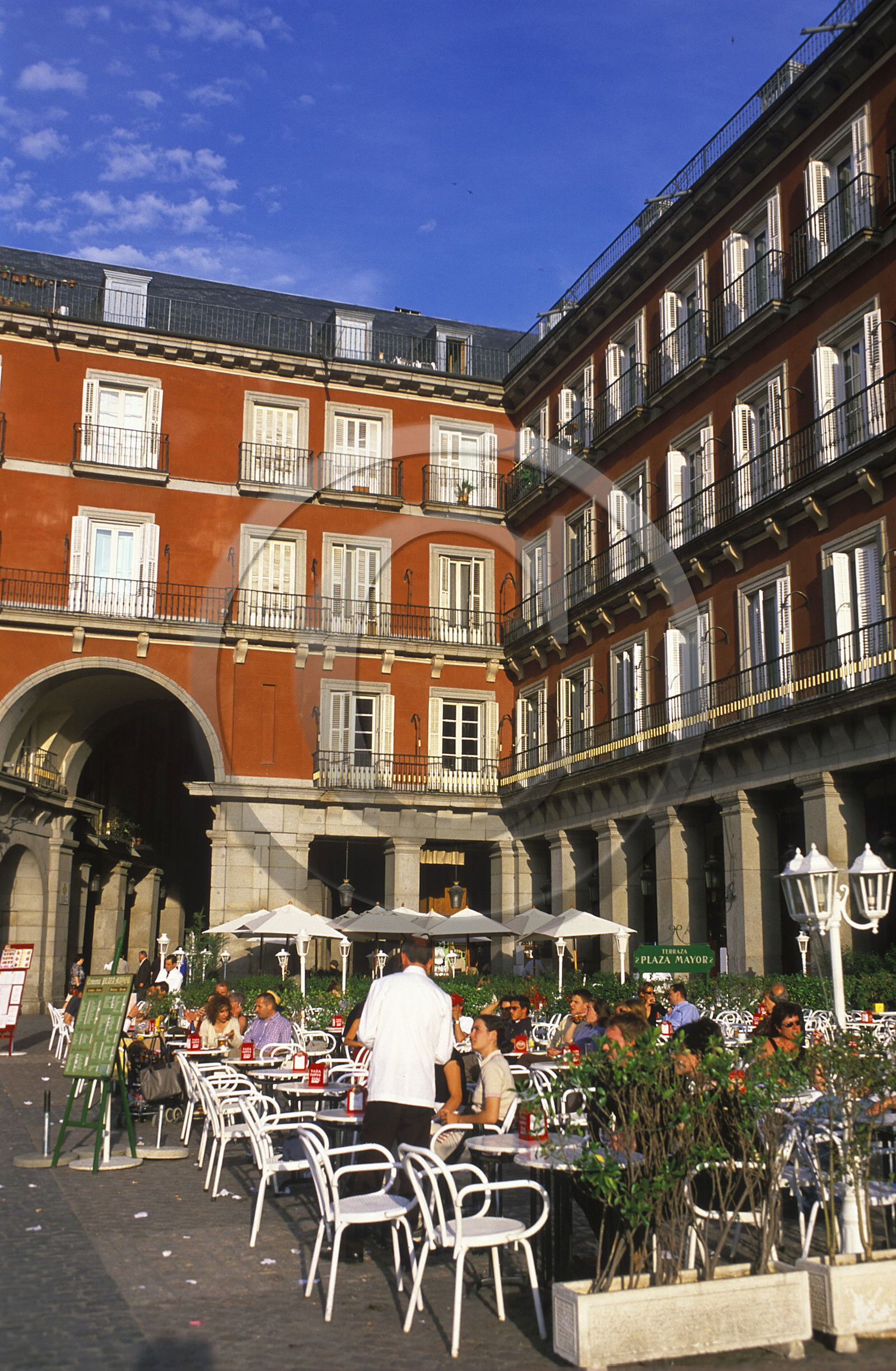 ESPAGNE   CASTILLE   MADRID PLAZA MAJOR