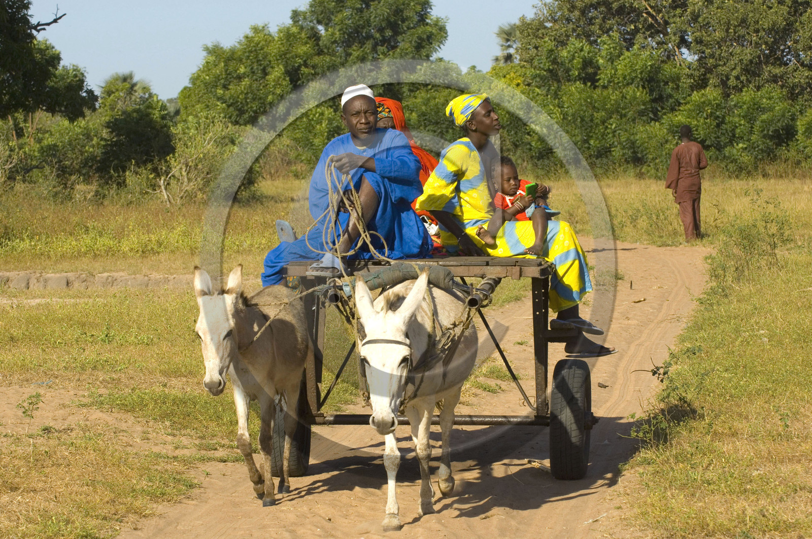Marché de Gueguenne, Sénégal