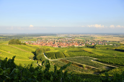 France, Dambach la Ville