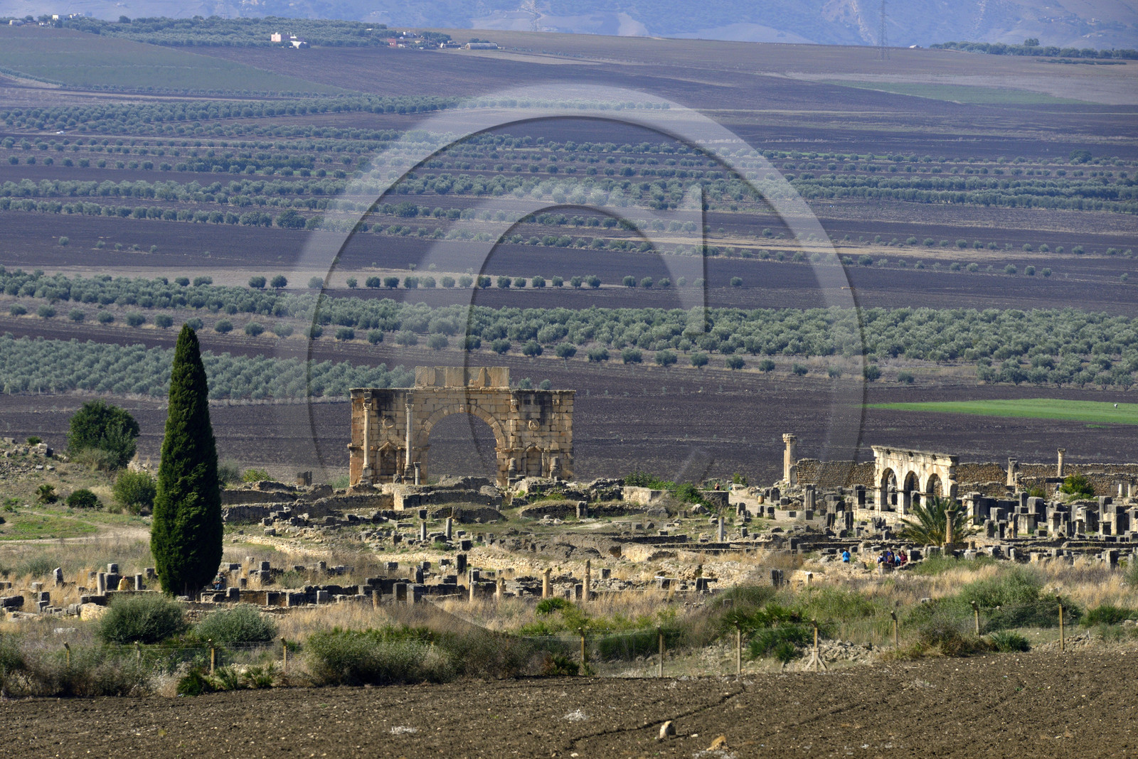 Maroc, Volubilis