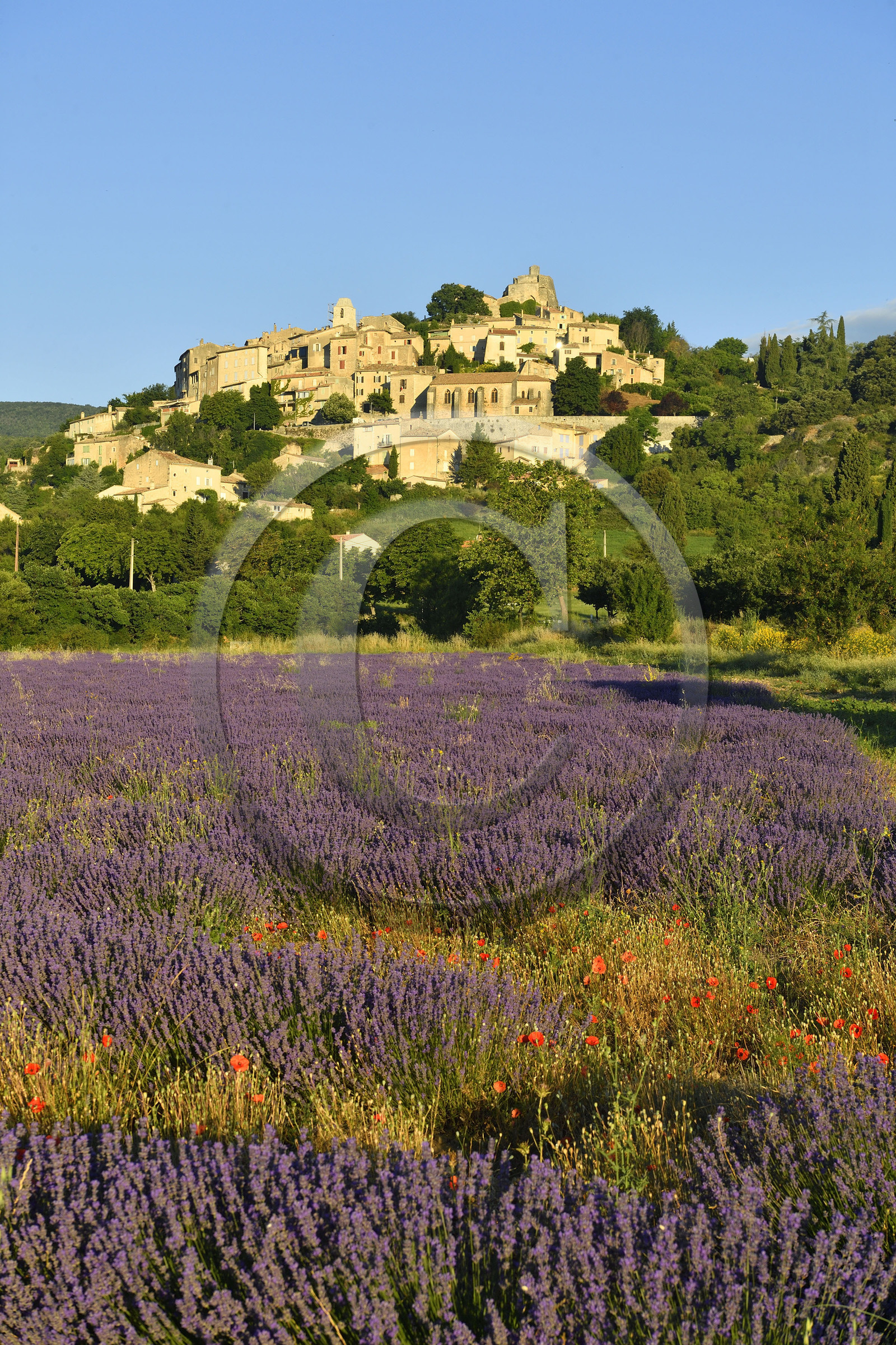 France, Simiane la Rotonde