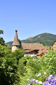 France,  Ribeauville