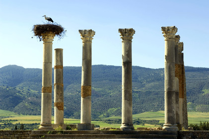 Volubilis, Morokko