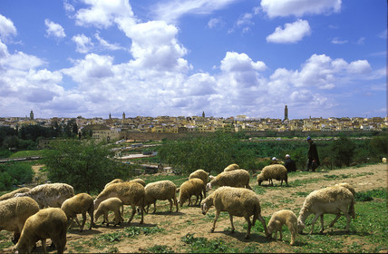 MAROC   MEKNES.VUE GÉNÉRALE