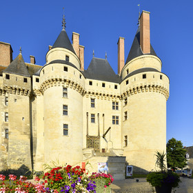 France, Langeais