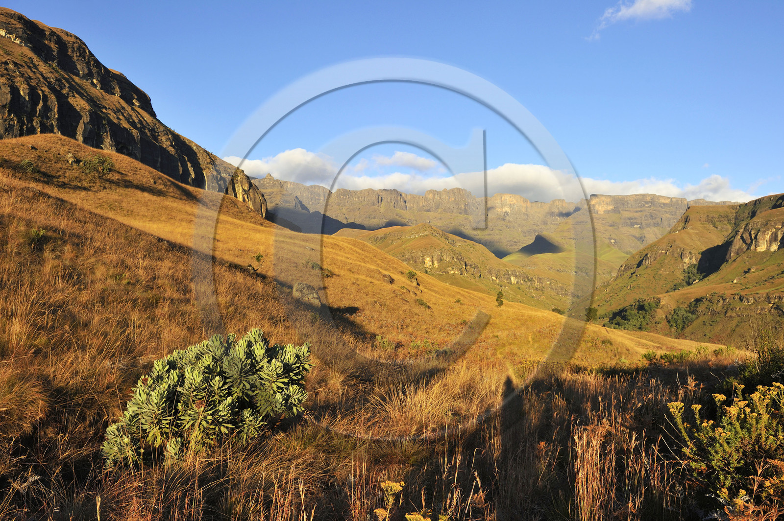 AFS, Drakensberg