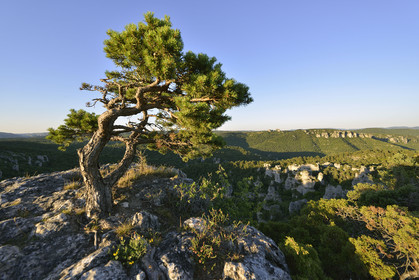 France, Montpellier Vieux