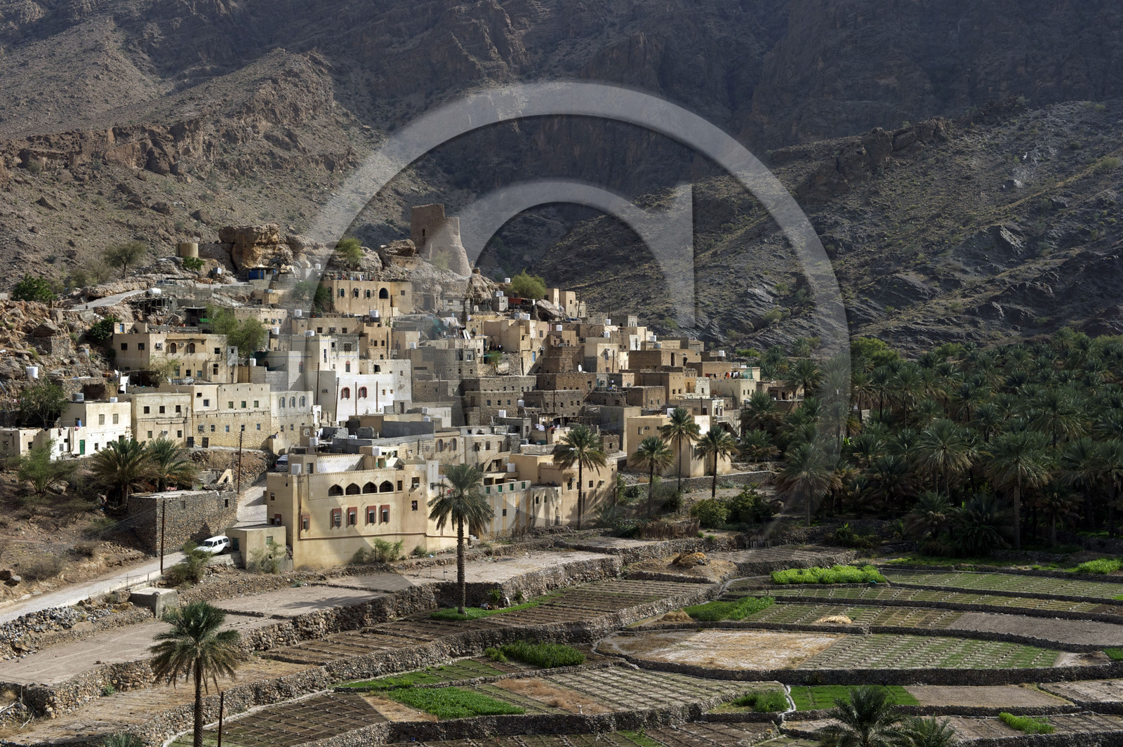Oman, Rustaq