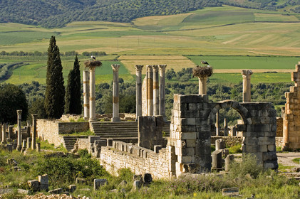 Volubilis, Morokko