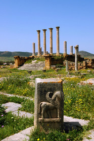 Tubourgo Majus, Tunisie