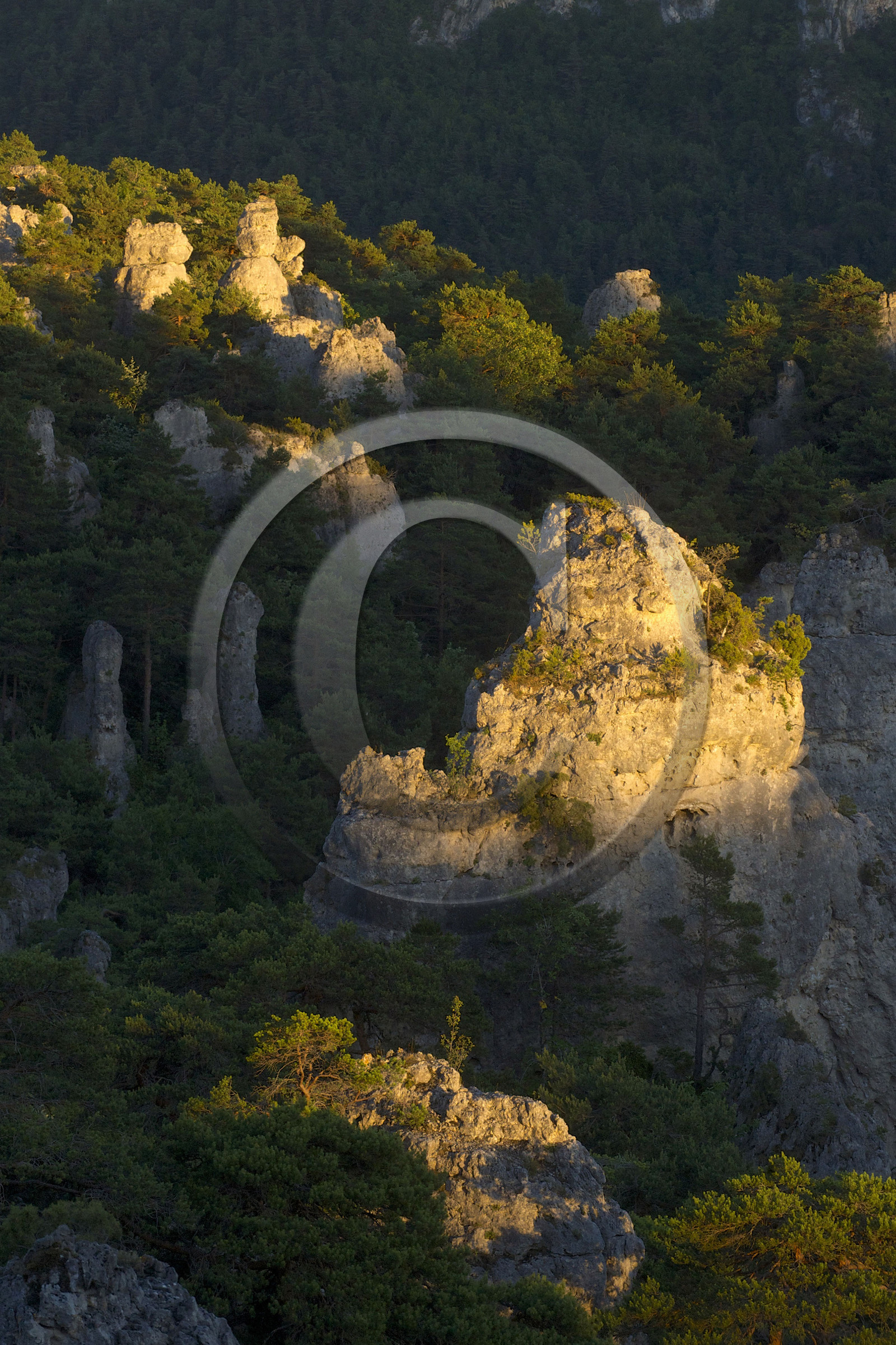 France, Montpellier Vieux